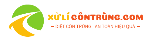 Xử lí mối tận gốc – Xử lí côn trùng 24H